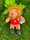 Nici Maskottchen Goleo, Fifa World Cup 2006 in 4303