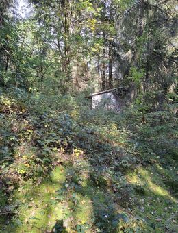 Grundstück am Waldrand - Helsa