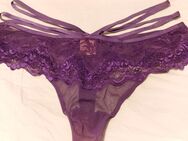 Original Hunkemöller Tanga lila mit Spitze - Grünstadt