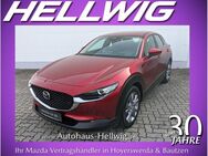 Mazda CX-30, 2.5 l (140PS) Centre-Line Design-Paket 2025 NEU, Jahr 2022 - Hoyerswerda