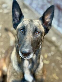 Schöne Gina - Kallmünz