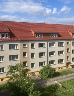 sanierte 3 DG Raumwohnungen in Eilenburg auf dem Berg - Eilenburg