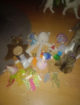 Zwei liebe Katzen (Mutter & Tochter „Oskar“) suchen ein liebevolles neues Zuhause 🐾 - Bochum Werne