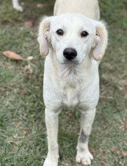 Mo sucht ihre Familie - Krefeld