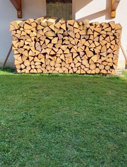 Brennholz Fichte Trocken - Tuttlingen