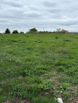 Preiswerte Mietkauf-Option nutzen. Ohne Eigenkapital möglich. - Heilbronn