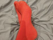 Getragene Socken im sexy Rot 🔥 - Gronau (Westfalen)