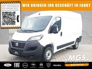 Fiat Ducato, Serie 9 35 L2H2 Kasten # #, Jahr 2024 - Weiden (Oberpfalz)