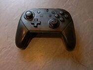 Switch Pro Controller ( ohne Kabel ) - Braunschweig