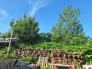 Holzpaletten ( keine EURO Palette ) - Mülheim (Ruhr)