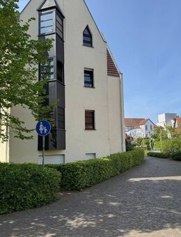 Direkt an der Salze - Erdgeschosswohnung mit Terrasse! - Bad Salzuflen