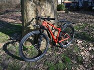 Fahrrad, Mountainbike, Wilier 101X - XT 1x12, Rahmenhöhe S, Radgröße 29" - Höxter