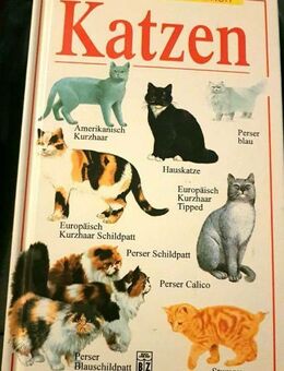 Buch -  Katzen- Erkennen und bestimmen/VHS - Zerbst (Anhalt) Zentrum
