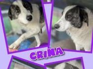 Tolle Crina wartet schon lange! - Nürnberg