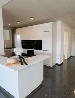 PENTHOUSE - ERSTVERMIETUNG ! ° Exklusive 4.5-ZWG ° W 14.B ° Süd-West-Ost // TRILOGIE - Auf Leim Murg Haus B - Murg