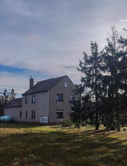 Einfamilienhaus mit großem Grundstück - Schleife