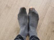 Suche extrem stinkende Reitsocken einer Reiterin - Köln