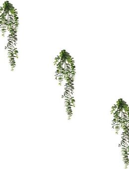 Kunstranke Eukalyptus-Hängezweig Eukalypthus, Creativ green, Höhe 63 cm