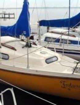 3 Std. Neptun 22 segeln Steinhuder Meer - Bootsverleih Kielhorn / Steg N 21 - Neustadt (Rübenberge)