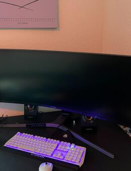 Amzfast 49 Zoll Gaming Monitor - Homburg