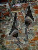 KUNST FÜR IHREN RAUM in 29525