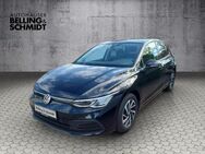 VW Golf, 2.0 TDI VIII Life Light, Jahr 2020 - Salzwedel (Hansestadt)