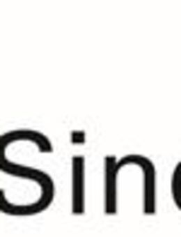 IT-Koordinator (m/w/d) im Bereich der Digitalisierung der Schulen - Sindelfingen