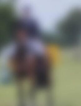 Mic*** - Lüchow (Wendland)