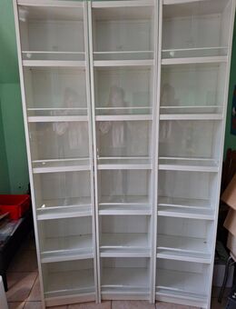 Dekorative Terrarienanlage Terrarienschrankwand Rack 120 X 200 - Wörth (Rhein)