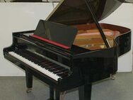 Flügel Klavier Grotrian-Steinweg 189, schwarz poliert, Renner-Mechanik, 5 Jahre Garantie - Egestorf