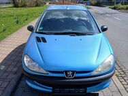 Peugeot 206 - Saalfeld (Saale) Arnsgereuth
