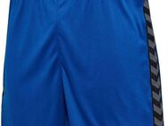 hummel Shorts HMLAUTHENTIC PL SHORTS (1-tlg)