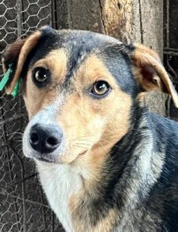 GRETA~mehr lange Beine als Körpervolumen - Duisburg