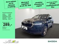 Skoda Karoq, 2.0 TDI Selection, Jahr 2024 - Sonthofen