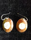 Schmuck: Braune Muschelohrringe mit 925 Silberhaken in 90419