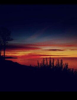 Wo, wenn nicht HIER !! - Biendorf