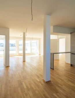 Lichtdurchflutetes 2,5 ZI - Penthouse mit großer Dachterrasse nach Süden - Regensburg