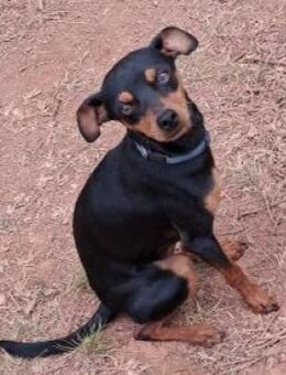 TWIX - liebes Kerlchen - Velbert