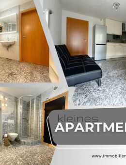 Gepflegtes Apartment in Künzelsau zu vermieten - Künzelsau