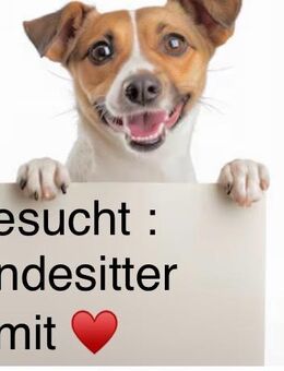Liebevoller Hundesitter in 86911 Dießen gesucht - Dießen (Ammersee)