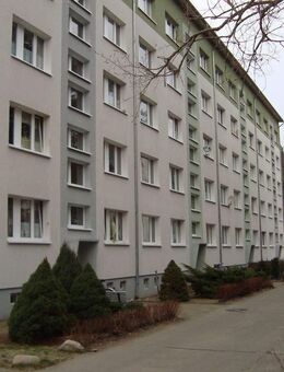 Damsdorf - zwischen Potsdam und Brandenburg a.d.Havel - familiärer Wohnstandort im Grünen - Kloster Lehnin