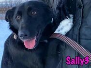 sooo sanfte Sally3 sucht die Liebe 04/21 - Ruppertsecken