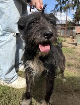 Lidi - möchte bei Dir einziehen! - Köln