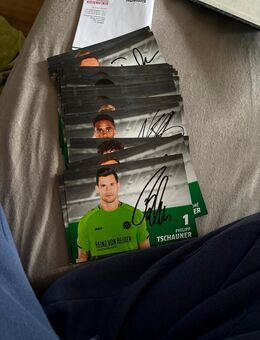 Autogramm Karten Hannover 96 - Salzgitter