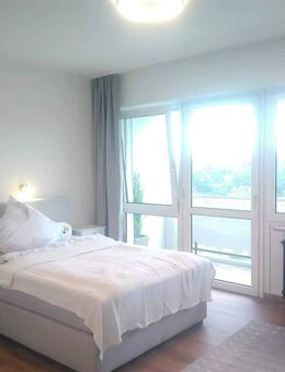 Modernes 1-Zimmer Appartment mit EBK und großem Balkon - Eschenbach (Oberpfalz)
