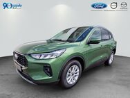 Ford Kuga, 2.5 FHEV TITANIUM, Jahr 2022 - Rutesheim