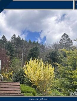 Lichtdurchflutete DG-Wohnung mit traumhaftem Ausblick - Neckarsteinach