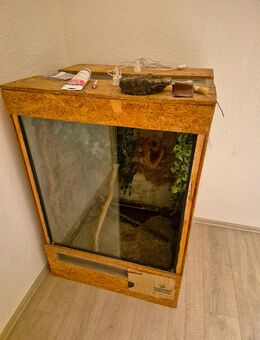 Großes Terrarium - Bochum