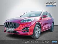 Ford Kuga 2.5 Plug-In Hybrid ST-Line ACC HUD LED - Halle (Saale)