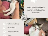 Luna und Louloudakis aus Kreta - Grevenbroich